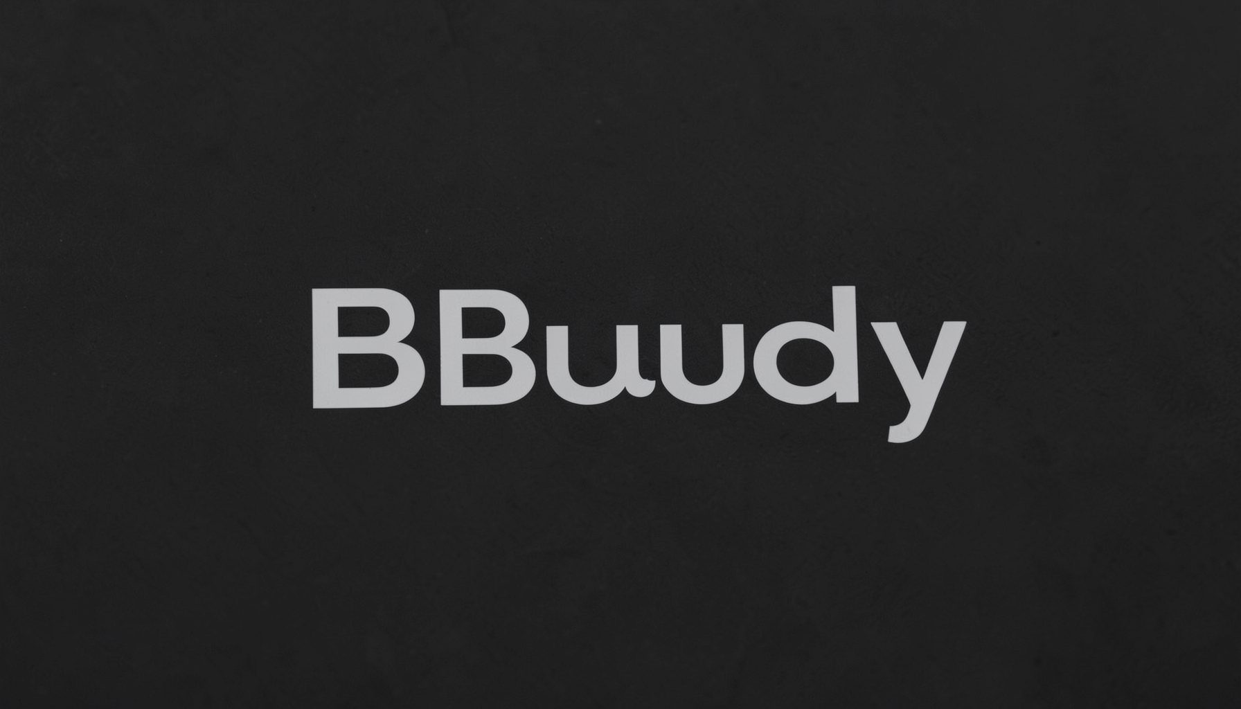 HypoBuddy wordmark in light gray on dark charcoal background